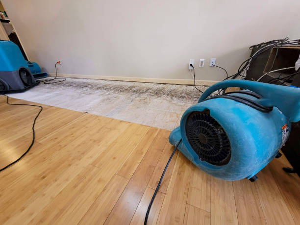 Professional Structural Drying technician working in Athens, MI